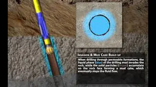 Drilling Mud Invasion Process