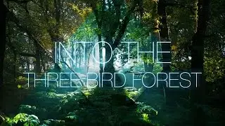 Into The Three Bird Forest
