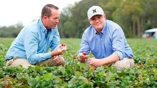Plan to make agriculture a $100b industry by 2030 &lsquo;incredible&rsquo;
