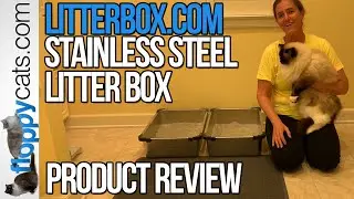 Stainless Steel Litter Box Product Review