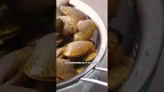 How to Clean Your Clams
