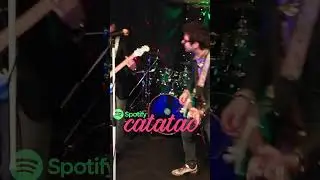 Blushfox live at flour city station p1