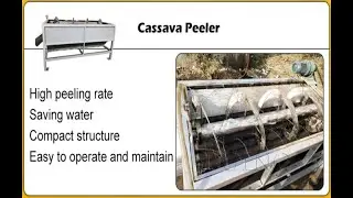 How to choose a high-quality cassava peeling machine at the best price?