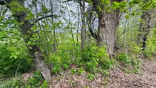 1.65 Acres!!