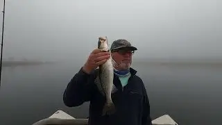 Escatawpa River and Pascagoula River Marsh Specks and Redfish
