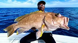 *MASSIVE* YellowEdge Grouper *FLORIDA STATE RECORD*  (Catch and Cook)