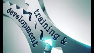Other Transactions - lack of education & training