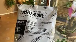 Milk Bone MaroSnacks Dog Treats || 38 Ounce Refill Packs || The Rowdydawg