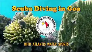 Scuba Diving at Grande Island