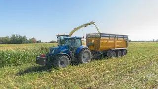 Krone BIG-X 1180 - Silage - Buona SRO