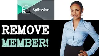 How To Remove Someone From Splitwise Group (2025)