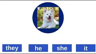 Subject Pronouns | I, you, we, they, he, she, it | Games | English Grammar