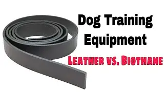 Leather vs. Biothane. Dog equipment.