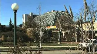 Denver Arts and Culture