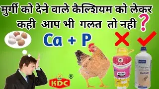 MURGI KE LIYE KONSA CALCIUM SAHI HAI# DESI MURGI PALAN# BEST CALCIUM FOR POULTRY.