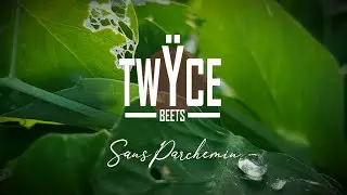 Sans Parchemin - Tw&yuml;ce Beets