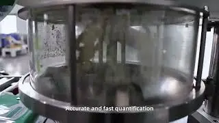 Small automatic vertical screw roll film powder packing machine(Direct Push Type)