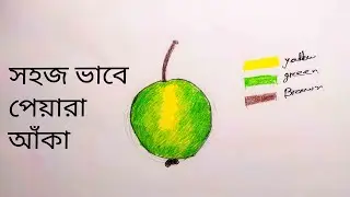How to Draw a Guava Step by Step | Easy Peyara Drawing for Kids and Beginners