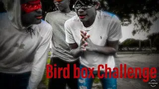 Bird Box Challenge!! Gone Wrong, Extreme