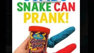 Snake Can Prank Is Funny
