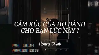 🔮 Chọn 1 tụ bài: CẢM XÚC CỦA NGƯỜI ĐÓ DÀNH CHO BẠN LÚC NÀY ?