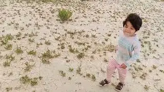 finding Mushrooms 🍄 in Dasht Quetta 10/4/2023