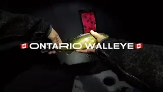 Calabogie Lake, Ontario - Ice fishing the evening bite for Walleye 