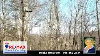 Lots And Land for sale - 39 Green Cabin Way, Talking Rock, GA 30175