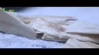 Alaska pollock fillet processing - Kingsun Foods