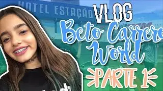VLOG BETO CARRERO -  CHEGADA EM SC! Parte 1