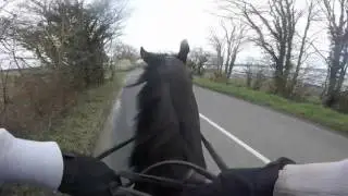 horses v's Biker
