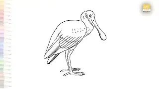 Spoonbill drawings easy | Birds easy drawing videos | How to draw Spoonbill step by step #artjanag