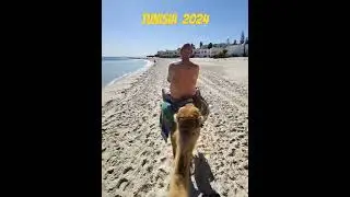 Why Camel Rides on Tunisian Beaches Are Worth It