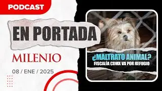 Destapan maltrato animal en Refugio Franciscano en CdMx | Noticias de hoy 08/01/2026 #Podcast