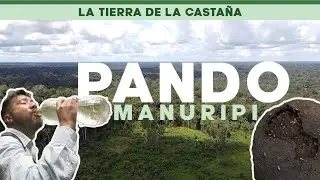 MANURIPI: La Tierra de la CASTAÑA  3/3