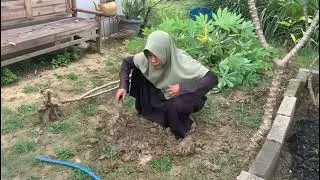 Inspirasi berkebun di belakang rumah walaupun di rumah tetap Heppy 