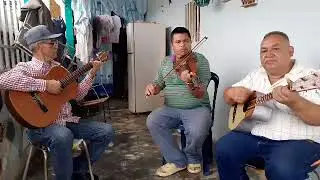 Los gavilanes de ruben lamus Mosaico de pablo canela 