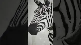 Zebra (animal) sketch |art drawing #animals #shorts #drawing #art #shortvideo