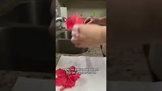 How to make to make hibiscus tea