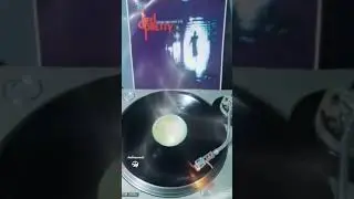 Died Pretty-True Fools Fall