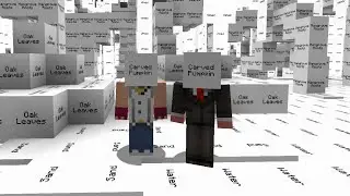 I Turned Minecraft Blocks Into Text