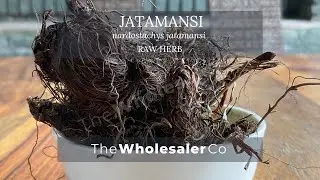 JATAMANSI - Baalchadd - Nardostachys JATAMANSI - TheWholesalerCo