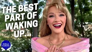 The Best Part of Waking Up&hellip;is You! Meeting Sleeping Beauty in Disney World&mdash;Meeting Princess Aurora