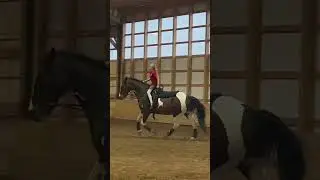 Awesome equestrian vaulting move!!