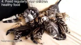 How to raise happy children   10 tips from Mom   Cat Coco