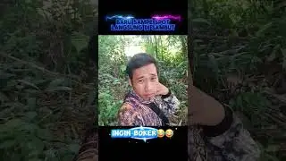 baru ssmpai spot sudah d sambut buruan #videoshort #hiburan #berburu