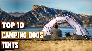 Best Tents for Camping With Dog In 2025 - Top 10 Tents for Camping With Dogs Review
