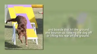 Seesaw Promo
