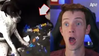 [30 min] Try Not To Laugh Challenge | AFV Live!