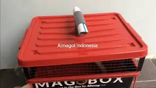 10 menit Mengenal Almagot dan Magobox